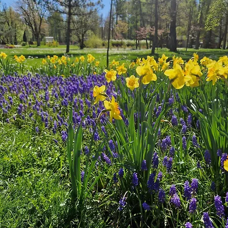 Sloneczna Skarpa Daire *
